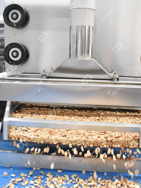 Introduction of Peanut Half Peeling Machine
