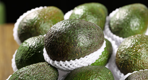 Kenya 5TPH Avocado Processing Line: Washing, Grading, Cutting, IQF Freezing & Packing Solutions