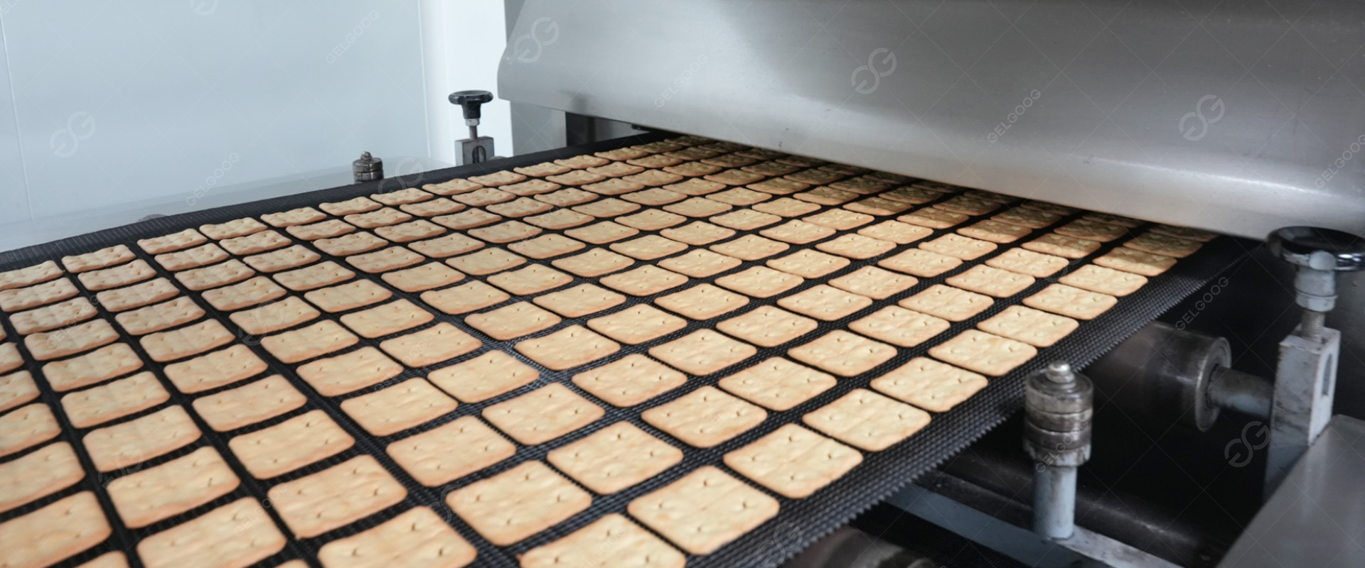 Hard Biscuit Processing
