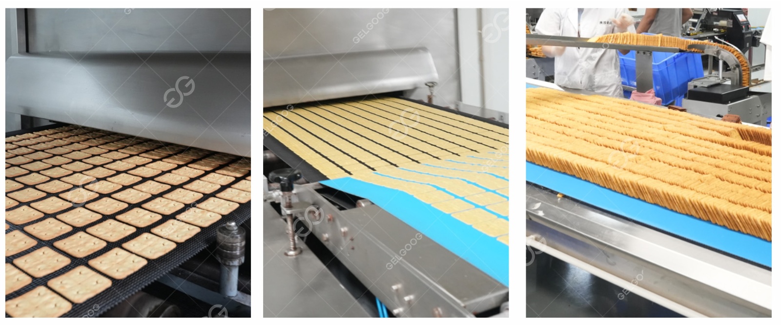 Biscuits Production Process