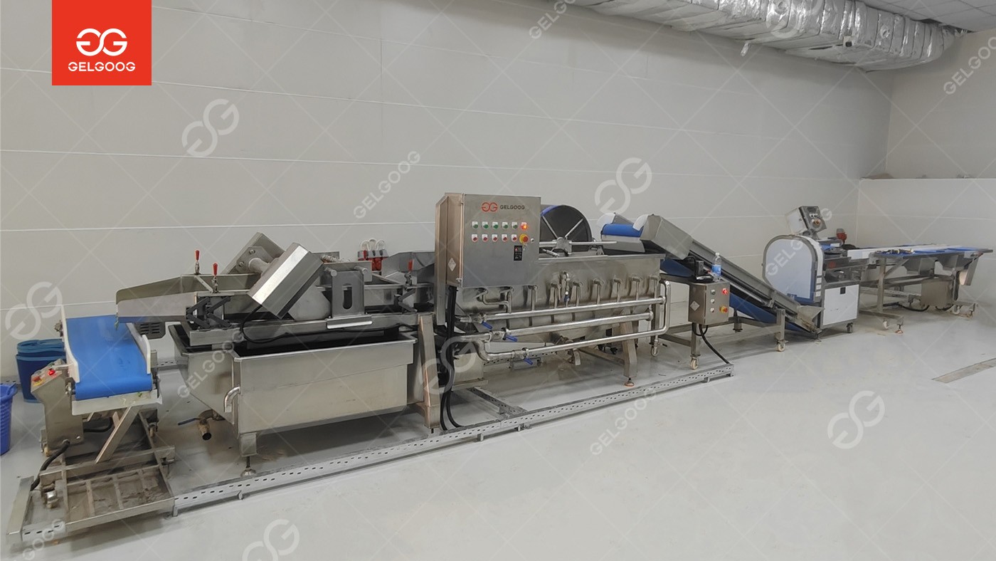 Gelgoog Assists Iraq Customer in Building a High-Efficiency, Water-Saving Vegetable Processing Line