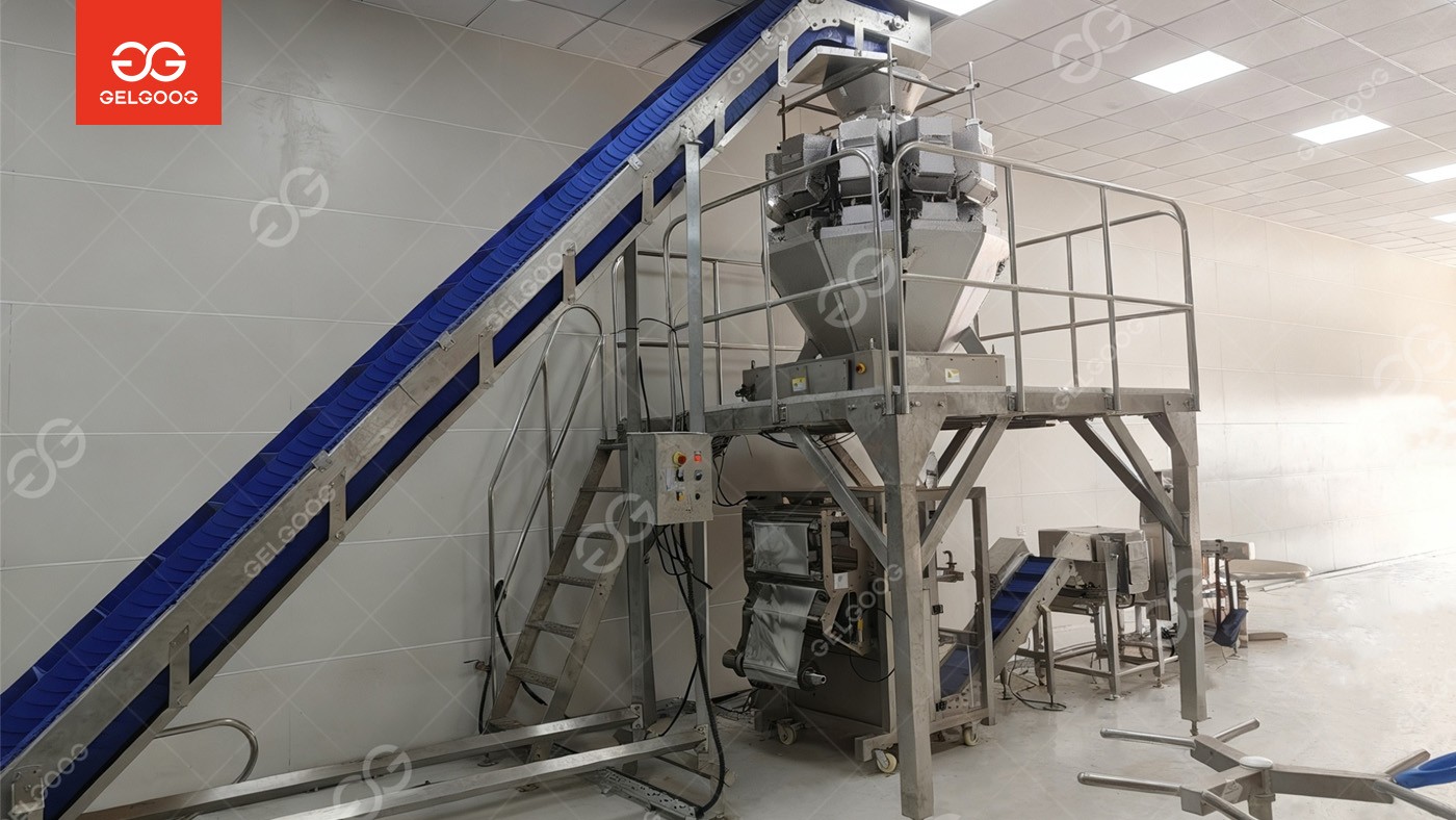 Clean Vegetable Processing Line for Iraq Customer