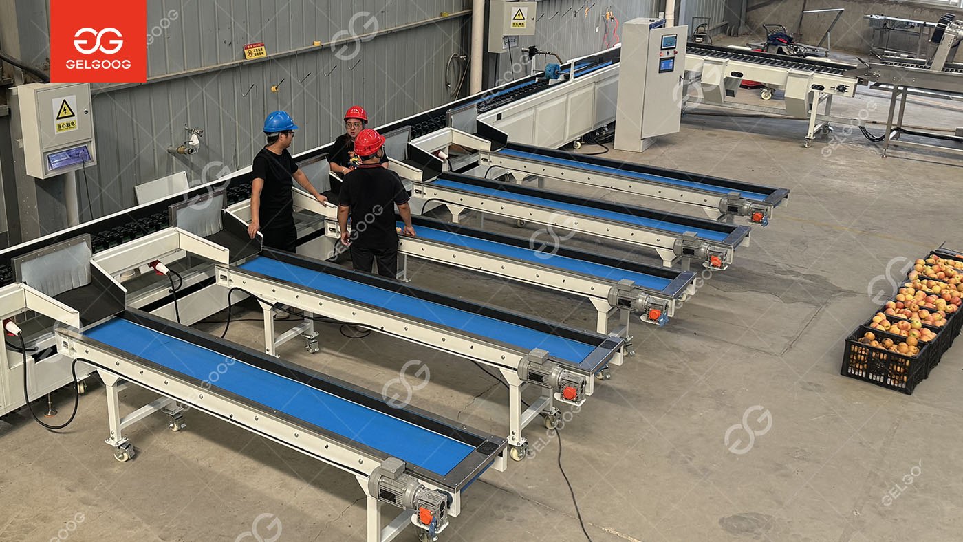 Apple Cleaning and Grading Line to Azerbaijan 