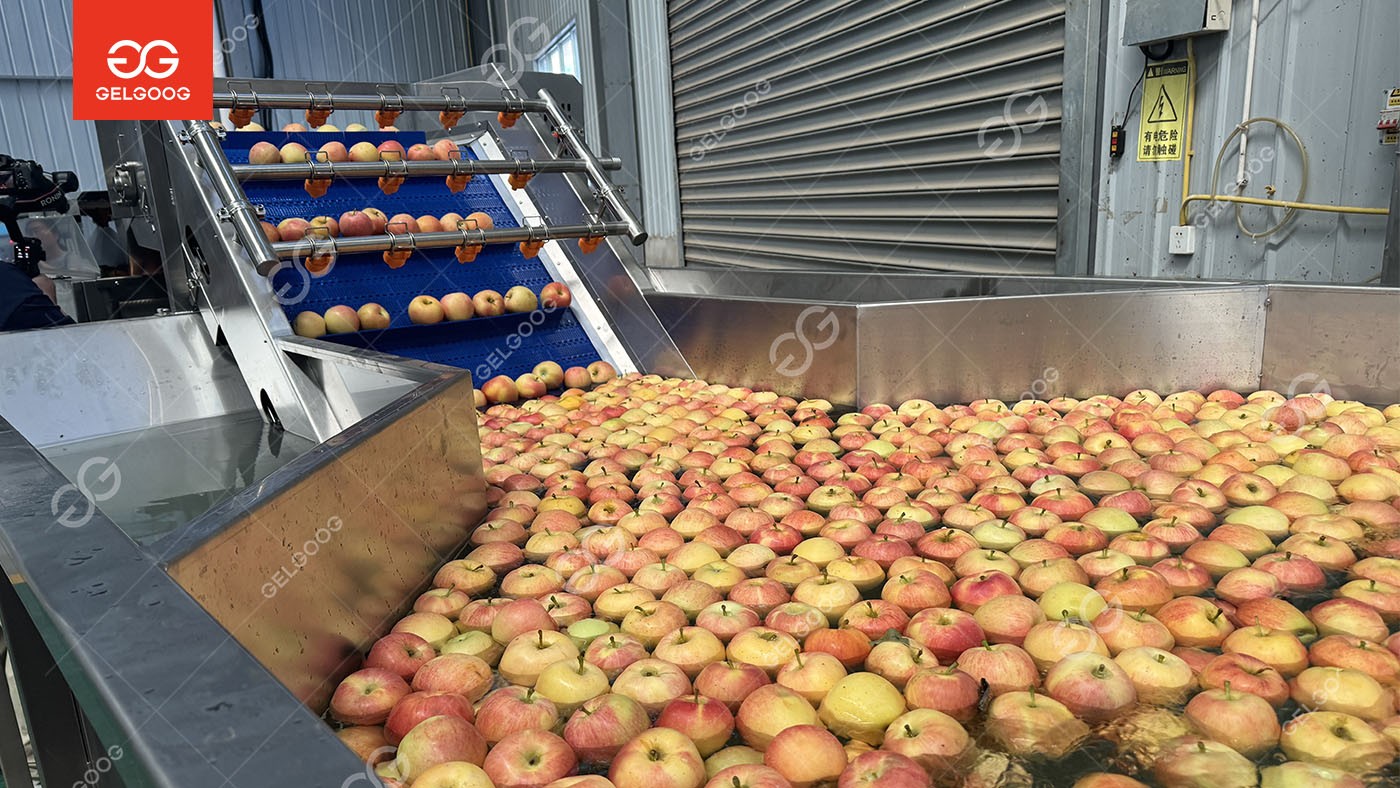 Apple cleaning and grading line to azerbaijan 