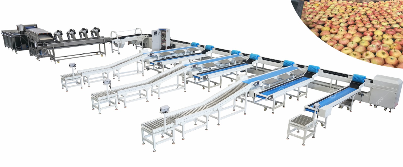 Apple Grading Sorting System