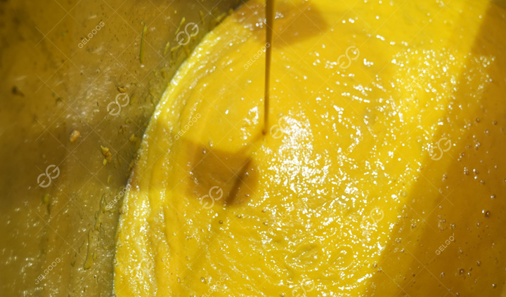 Machine for Processing Mango Juice