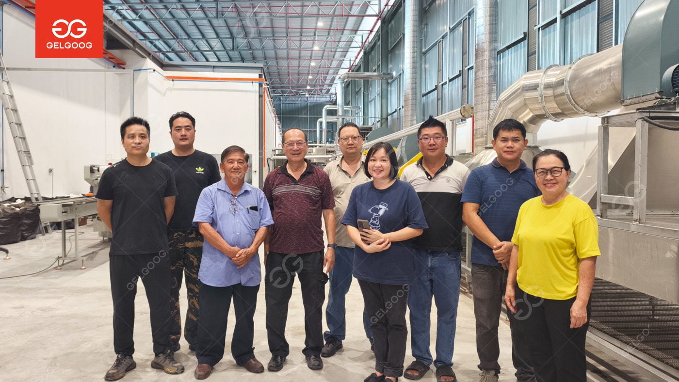 Gelgoog Helps Malaysian Clients Build First Fried Instant Noodles Production Line