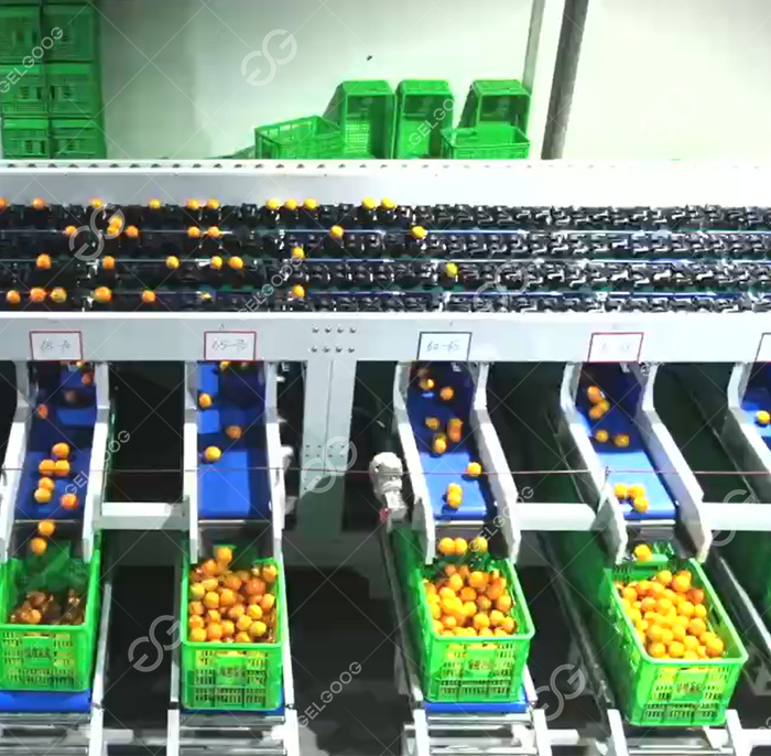 /uploads/images/20251226/a2f6cdb2e6b8d18fb18b68ac86093f4f.jpg||