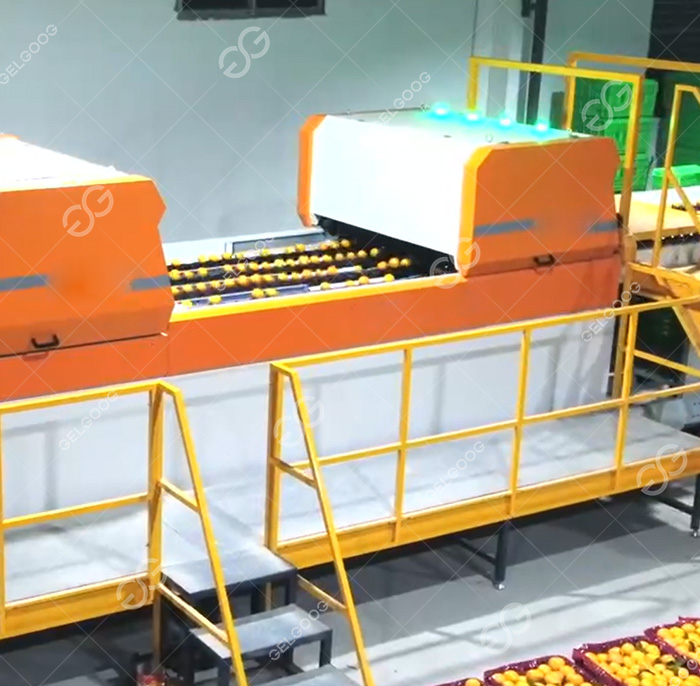 /uploads/images/20251226/a5476c30b334ed19fc931f7f1645e98c.jpg||