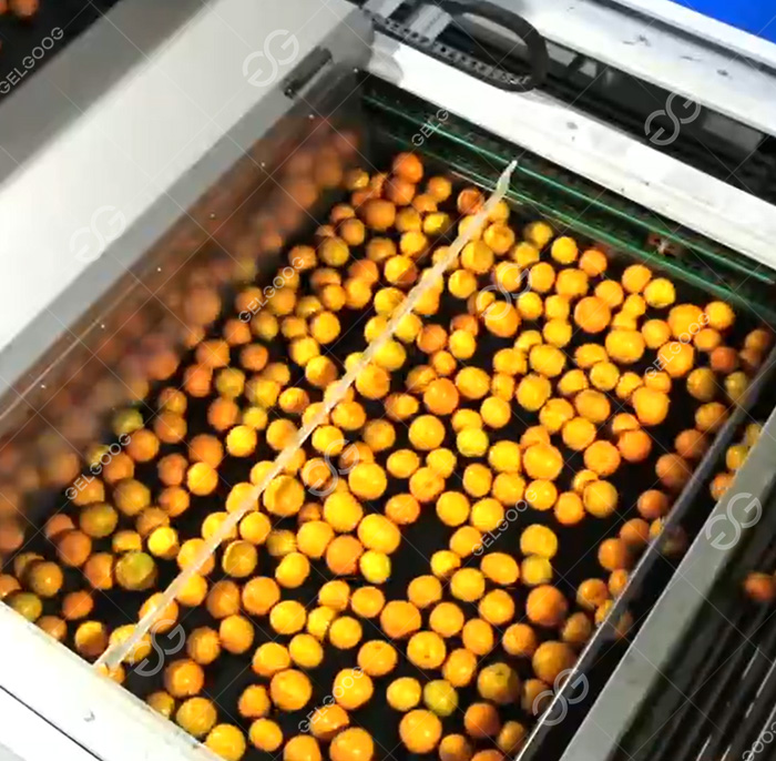 /uploads/images/20251226/ede2610dec4e8c37ecc0e66c64a05708.jpg||