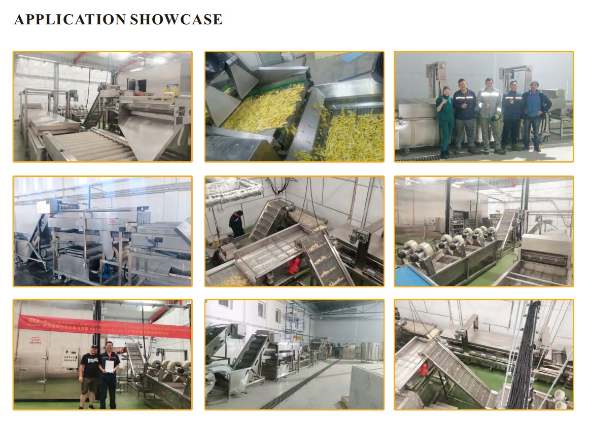 French Fries Processing Machines in Gelgoog Factory