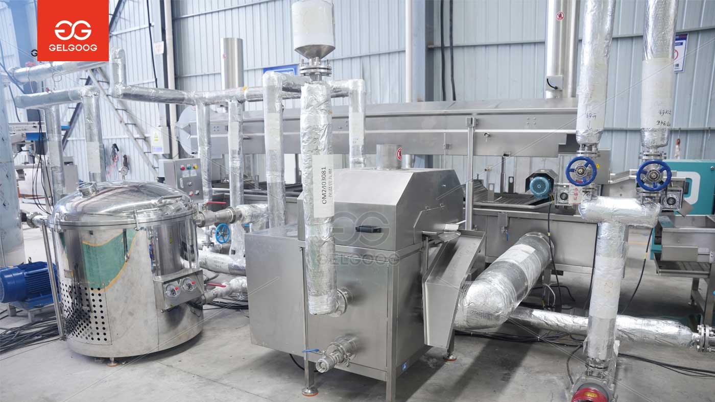 Upgrade Your Banana Chips Production Line: Maximize Efficiency & Automation