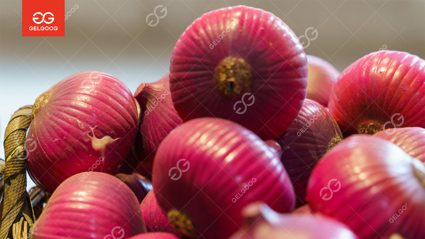 Onion Processing: Complete Industrial Guide to Onion Powder, Fried Onion & Onion Flakes Production