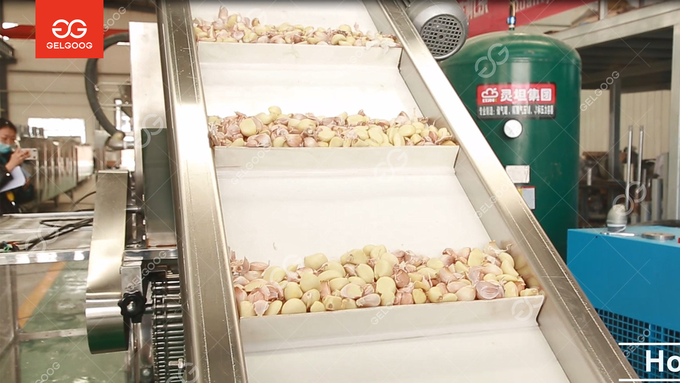 Automatic Garlic Peeling Machine: Types, Working Principle & How to Choose