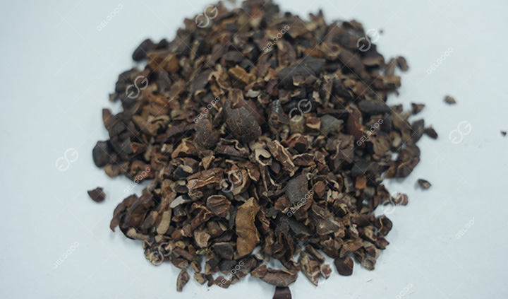 Winnowing Machine for Cocoa Beans