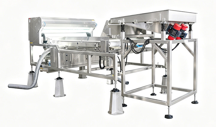 Color Sorting Machine for Garlic