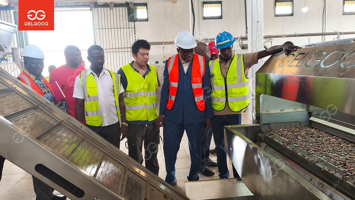 6 TPD Cocoa Processing Plant in Cameroon