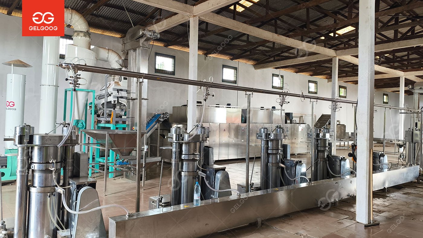Gelgoog Cocoa Processing Plant in Cameroon