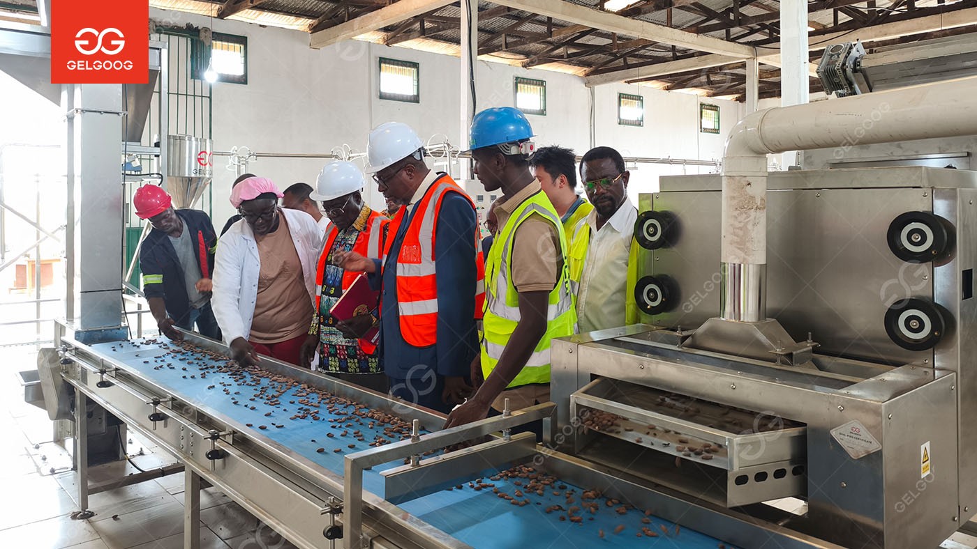 Gelgoog Cocoa Processing Line in Cameroon