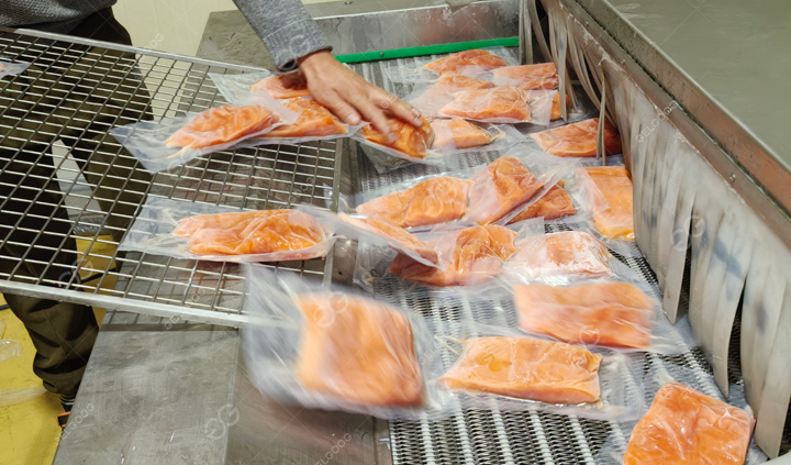Continuous Freezing Machine for Meat Fish