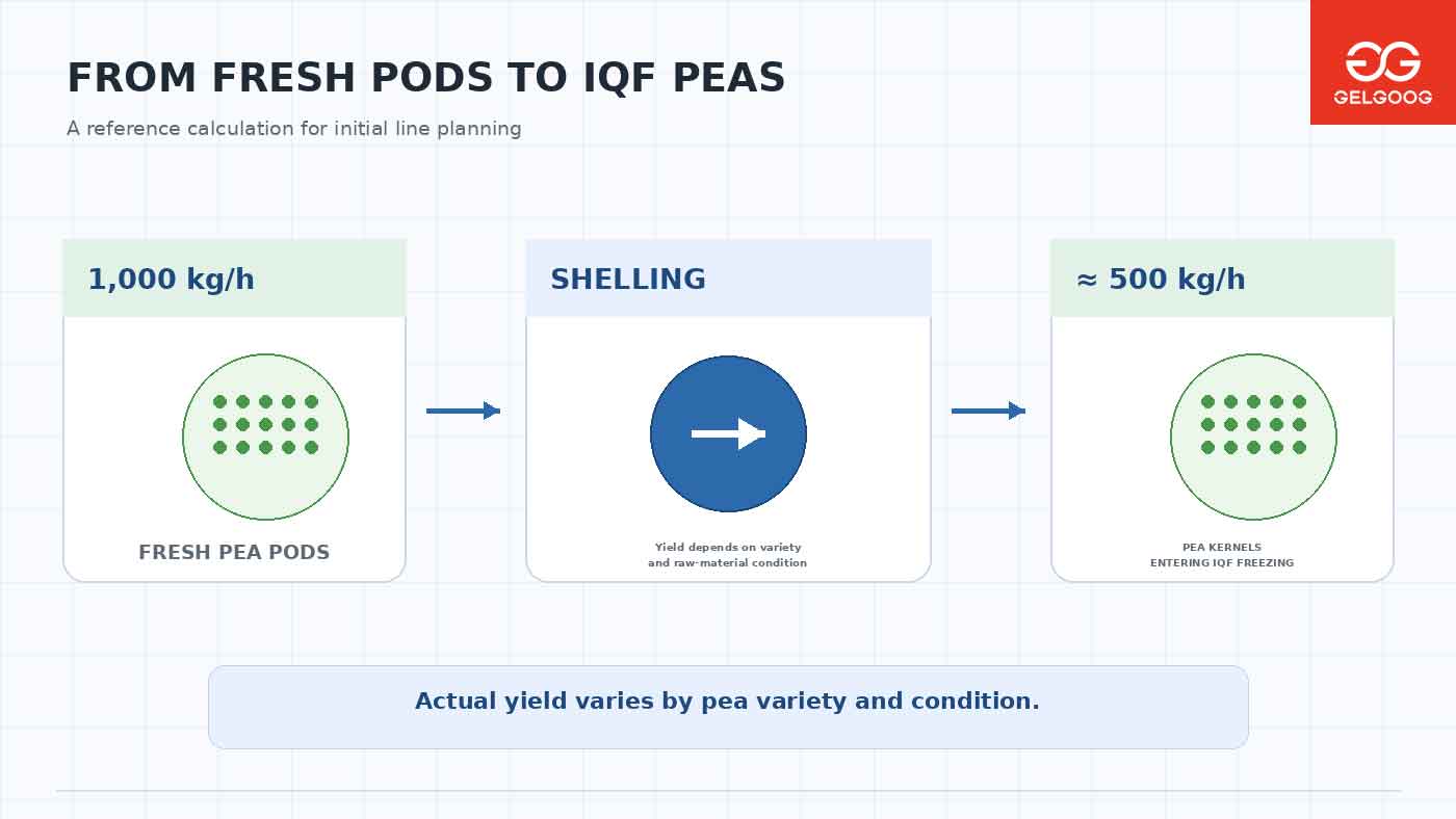 ​ How to Size a Green Peas Freezing Line for an Algeria IQF Project
