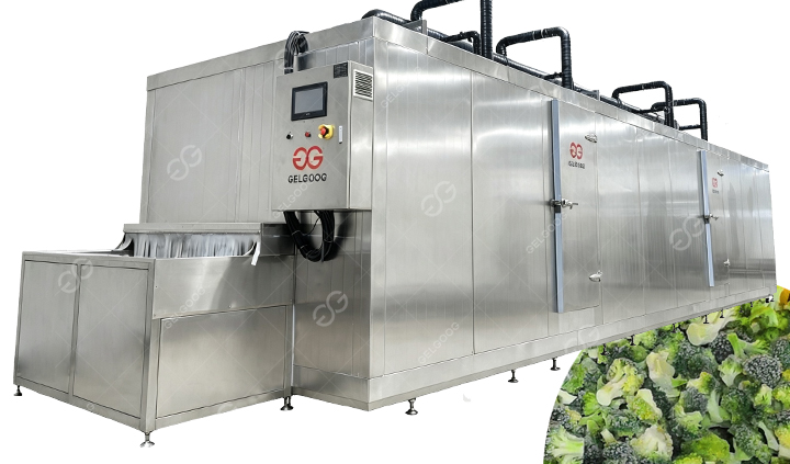 IQF Fozen Vegetable Processing Machine