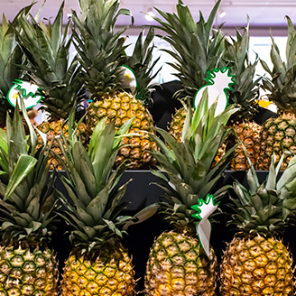 Fresh Pineapple Sorting and Packing Solution