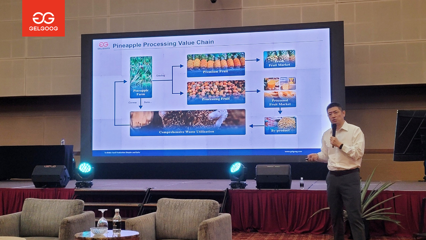Pineapple Processing Solutions for Malaysia and the Asia-Pacific Region